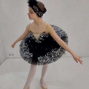 Black swan P 0131 - image 14