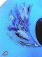 Little Blue Bird F 0015 - image 7