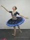 Stage costume F 0081 - image 30