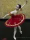Concert costume F 0002 - image 10