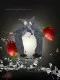 Ballet costume Mouse Rat Fight Nutcracker R 0236 - image 3