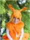 Squirrel R 0215 - image 2