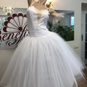 Costum pentru Willis F 0027 - image 20