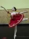 Concert costume F 0002 - image 13