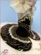 Stage costume F 0067A - image 17
