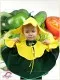 Cucumber R 0139 - image 2