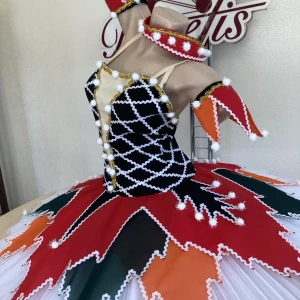 Stage costume F 0352 - image 2