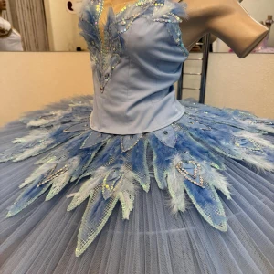 Blue Bird P 0416(5001) - image 3