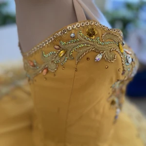 Costum pentru scena(Generositații) F 0088 - image 25
