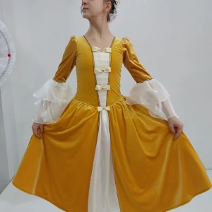 Stage costume P 2609 - image 9