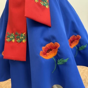 Moldavian national Skirt J 0361 - image 7