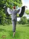 Bird R 0174 - image 3