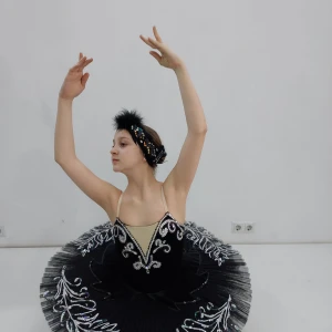 Black swan P 0131 - image 12