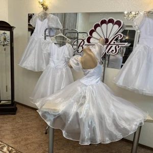 Costum pentru scena T 0024 - image 7