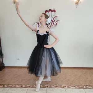 Stage costume T 0056 - image 15