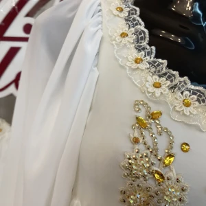 Lyrical women costume F 0030 - image 39