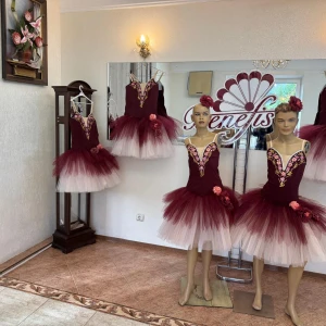 Ballet costume P 2010 - image 5