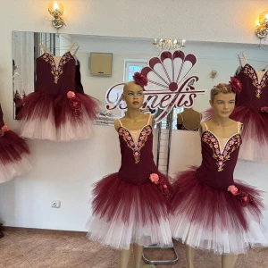 Ballet costume P 2010 - image 6