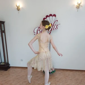 Stage costume F 0488 - image 15