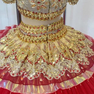 Costum pentru scena F 0081D - image 29