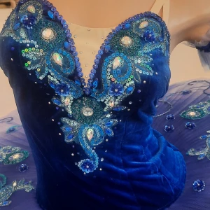 Blue bird P 0481 - image 7