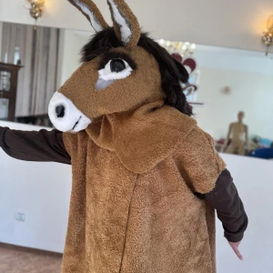 Donkey mask for the P 1807 - image 5