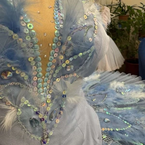 Blue Bird P 0416(5001) - image 8
