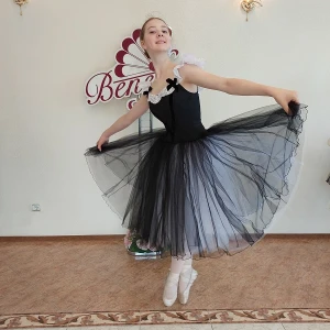 Stage costume T 0056 - image 11