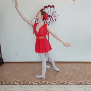 Stage costume F 0446 - image 14