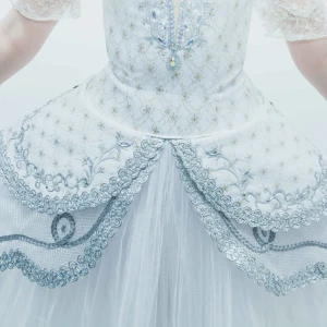 Stage ballet costume F 0107B - image 7