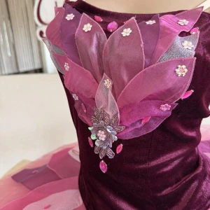 Stage costume F 0524 - image 6