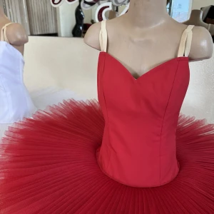Professional basic tutu with a simple decor T 0014 - image 34