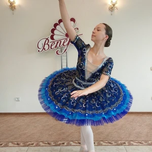 Costum pentru scena F 0081B - image 34