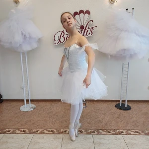 Stage costume T 0054 - image 6