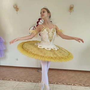 Stage costume F 0102 - image 28